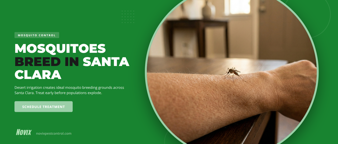 Mosquito Control in Santa Clara, UT | Novix Pest Control