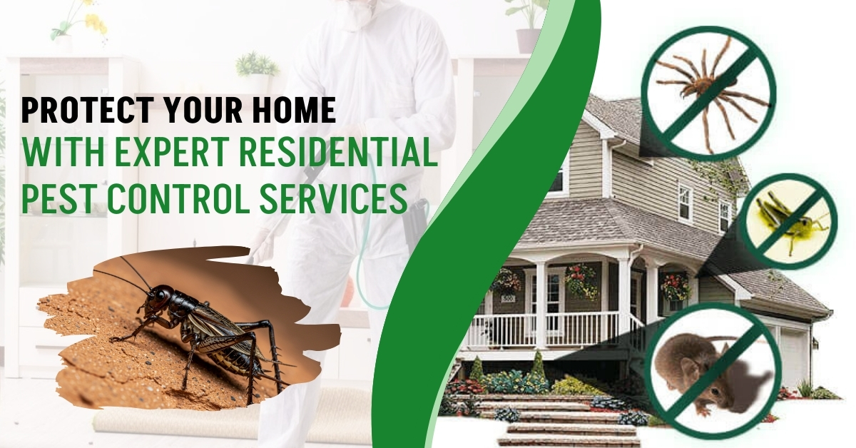 Residential Pest Control Services | Novix Pest Control