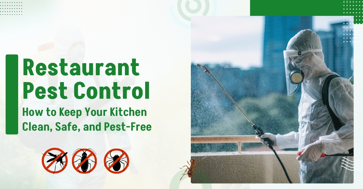 Restaurant Pest Control Guide | Novix Pest Control