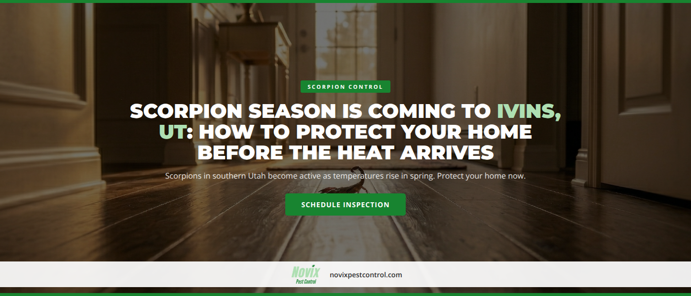 Scorpion Season in Ivins, UT | Novix Pest Control