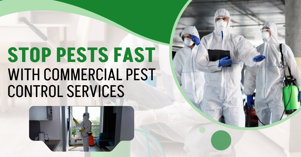 Commercial Pest Control Services | Novix Pest Control